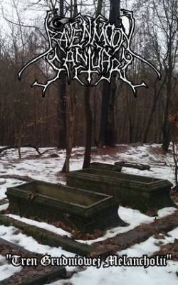 Ravenmoon Sanctuary : Tren Grudniowej Melancholii